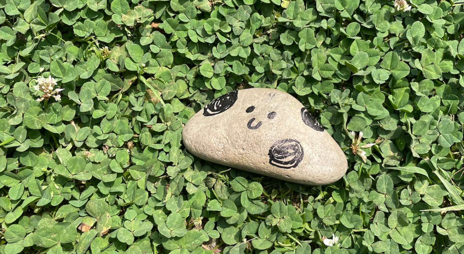 사랑과 아날로그에 진심인 사람들