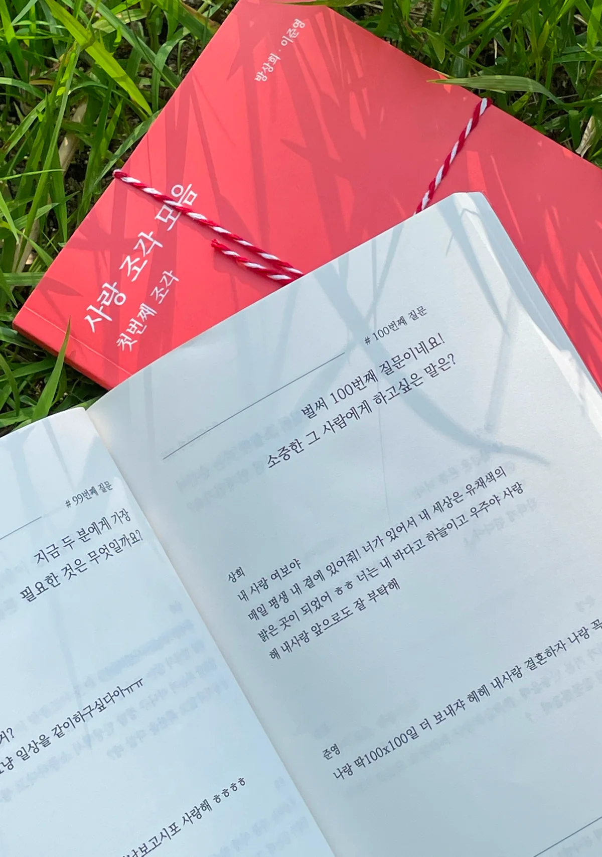 잔디 위에 놓인 '사랑 조각 모음' 표지와 두 사람이 남긴 100번째 답변